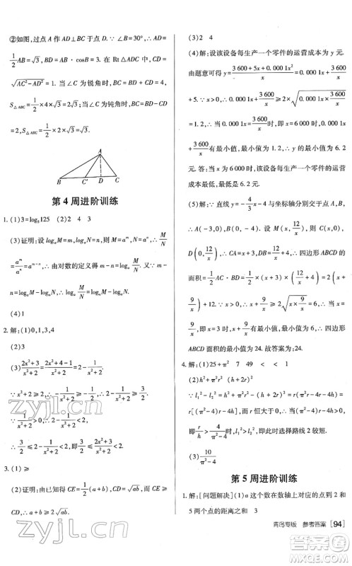 新疆青少年出版社2022升学锦囊九年级数学青岛专版答案