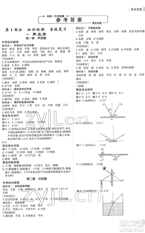 新疆青少年出版社2022升学锦囊九年级物理青岛专版答案