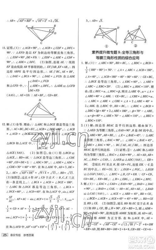 新疆青少年出版社2022升学锦囊九年级数学泰安专版答案 新疆青少年出版社2022升学锦囊九年级数学泰安专版答案