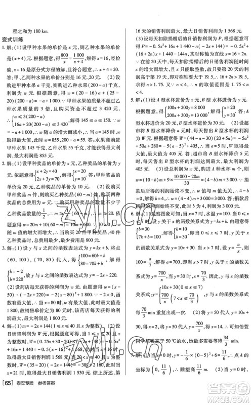 新疆青少年出版社2022升学锦囊九年级数学泰安专版答案