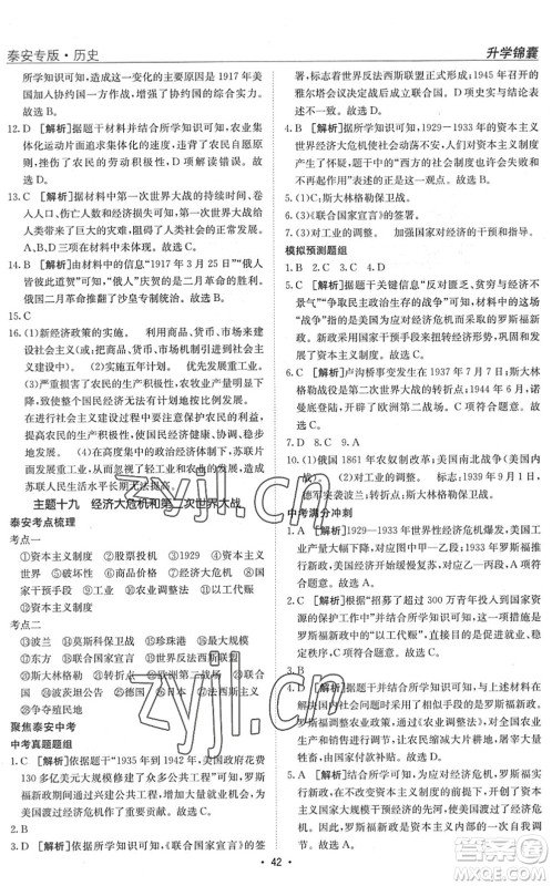 新疆青少年出版社2022升学锦囊九年级历史泰安专版答案