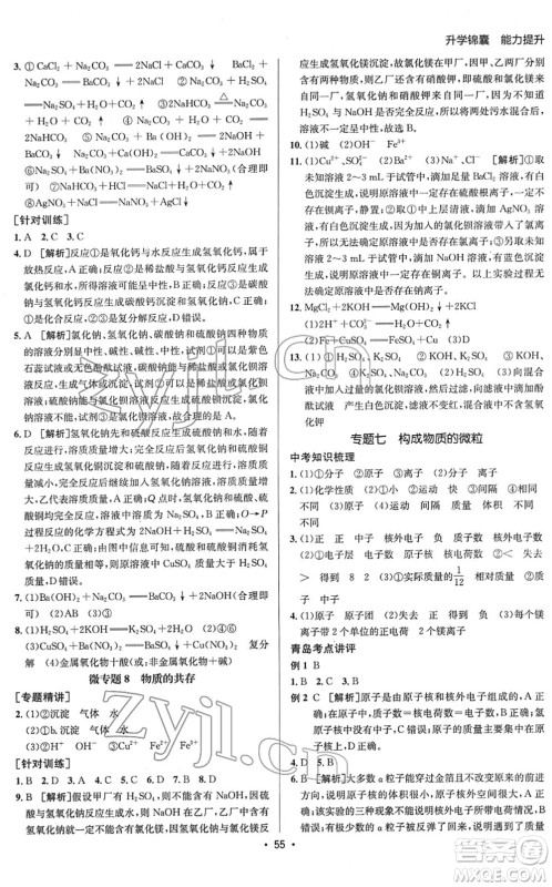 新疆青少年出版社2022升学锦囊九年级化学青岛专版答案