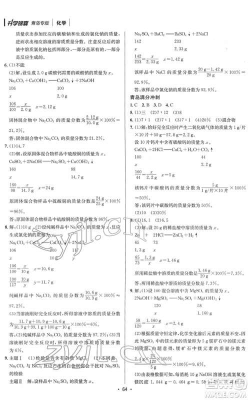 新疆青少年出版社2022升学锦囊九年级化学青岛专版答案