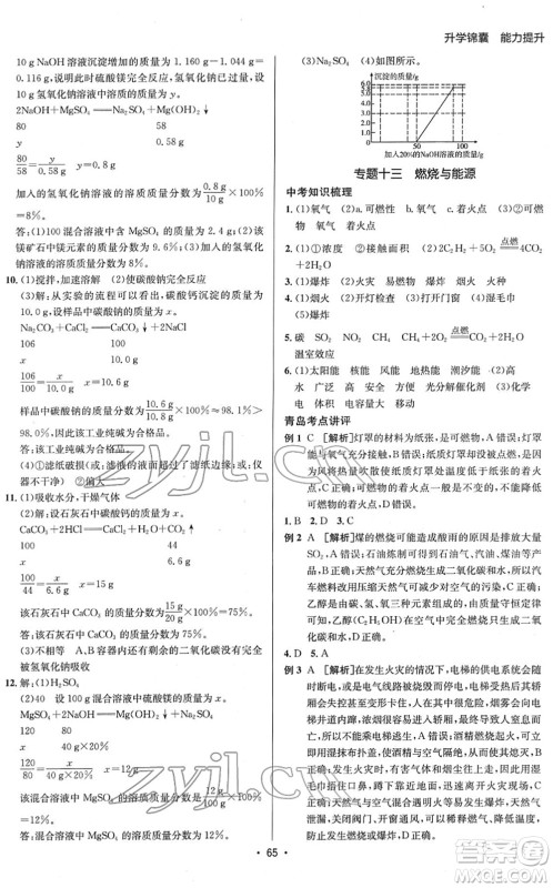 新疆青少年出版社2022升学锦囊九年级化学青岛专版答案