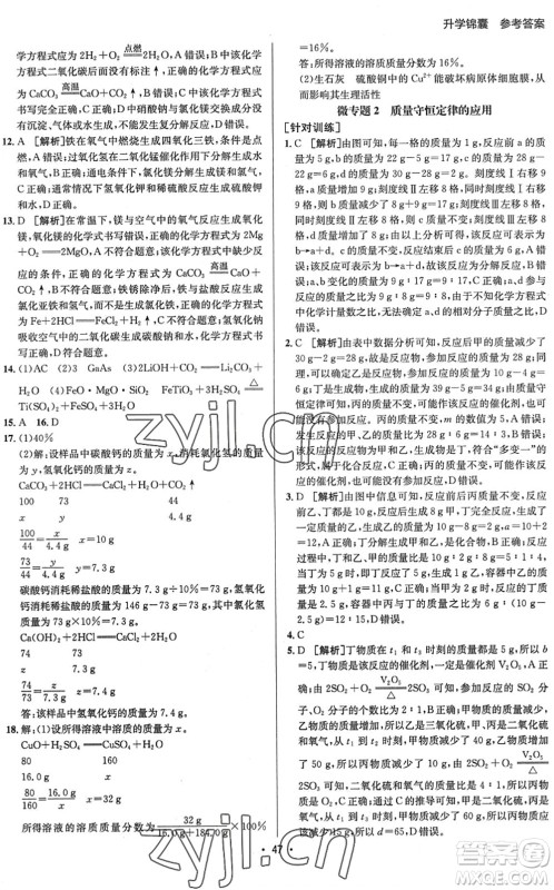 新疆青少年出版社2022升学锦囊九年级化学泰安专版答案