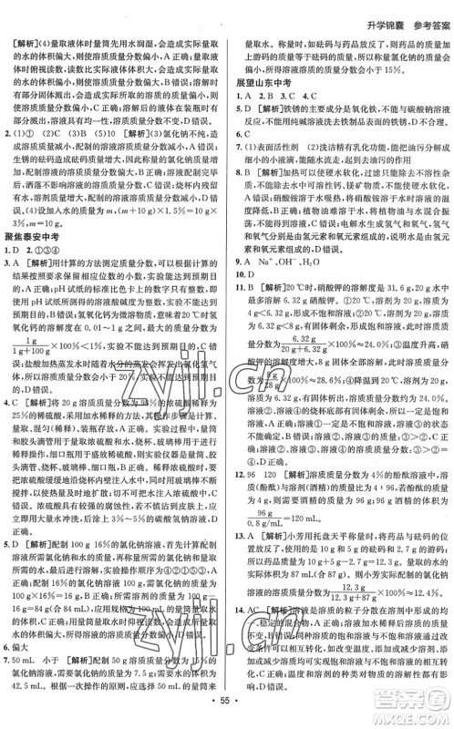 新疆青少年出版社2022升学锦囊九年级化学泰安专版答案