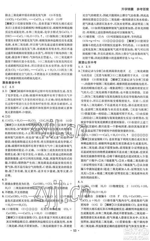 新疆青少年出版社2022升学锦囊九年级化学泰安专版答案
