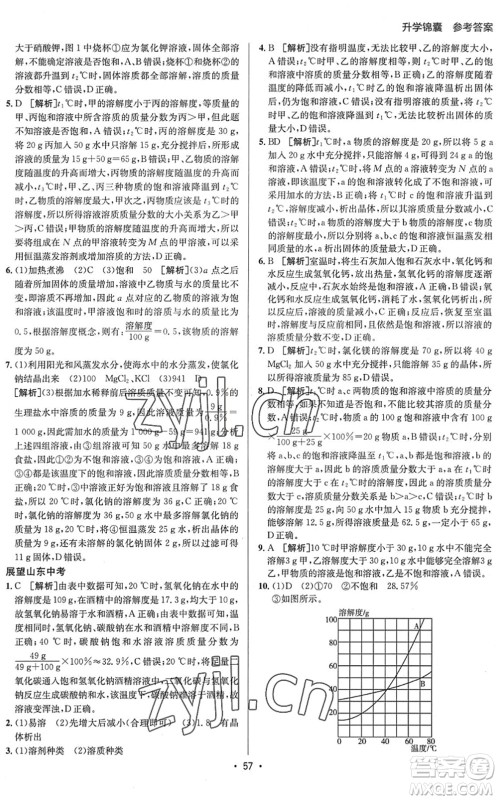 新疆青少年出版社2022升学锦囊九年级化学泰安专版答案