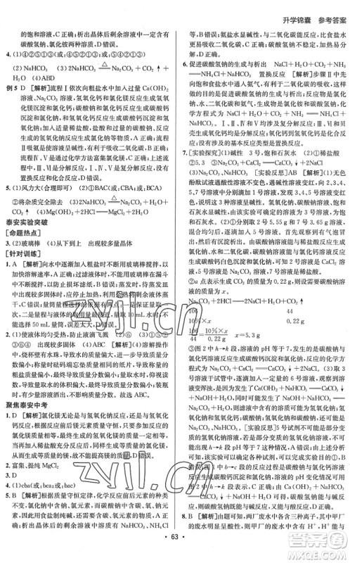 新疆青少年出版社2022升学锦囊九年级化学泰安专版答案