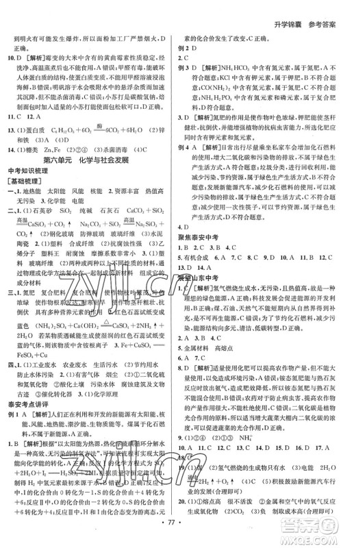 新疆青少年出版社2022升学锦囊九年级化学泰安专版答案