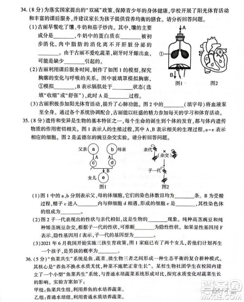 新疆维吾尔自治区新疆生产建设兵团2022年初中学业水平考试生物试题卷及答案 新疆维吾尔自治区新疆生产建设兵团2022年初中学业水平考试生物试题卷及答案