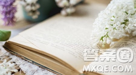 属于我的精彩为题作文600字 以属于我的精彩为题的作文600字