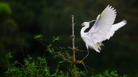 成长是件最快乐的事为题作文600字 关于成长是件最快乐的事为题的作文600字 成长是件最快乐的事为题作文600字 关于成长是件最快乐的事为题的作文600字