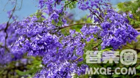 我听见时间的声音为题作文600字 关于我听见时间的声音为题目的作文600字