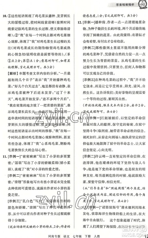 江西人民出版社2022王朝霞各地期末试卷精选七年级语文下册人教版河南专版答案 江西人民出版社2022王朝霞各地期末试卷精选七年级语文下册人教版河南专版答案