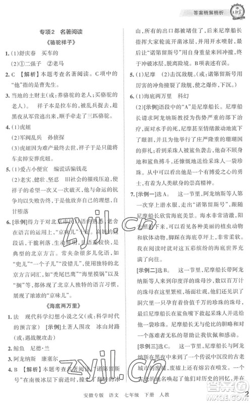 江西人民出版社2022王朝霞各地期末试卷精选七年级语文下册人教版安徽专版答案 江西人民出版社2022王朝霞各地期末试卷精选七年级语文下册人教版安徽专版答案