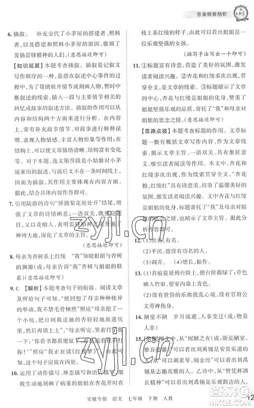 江西人民出版社2022王朝霞各地期末试卷精选七年级语文下册人教版安徽专版答案 江西人民出版社2022王朝霞各地期末试卷精选七年级语文下册人教版安徽专版答案