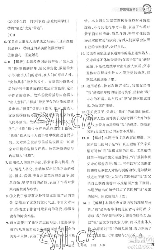 江西人民出版社2022王朝霞各地期末试卷精选七年级语文下册人教版安徽专版答案 江西人民出版社2022王朝霞各地期末试卷精选七年级语文下册人教版安徽专版答案