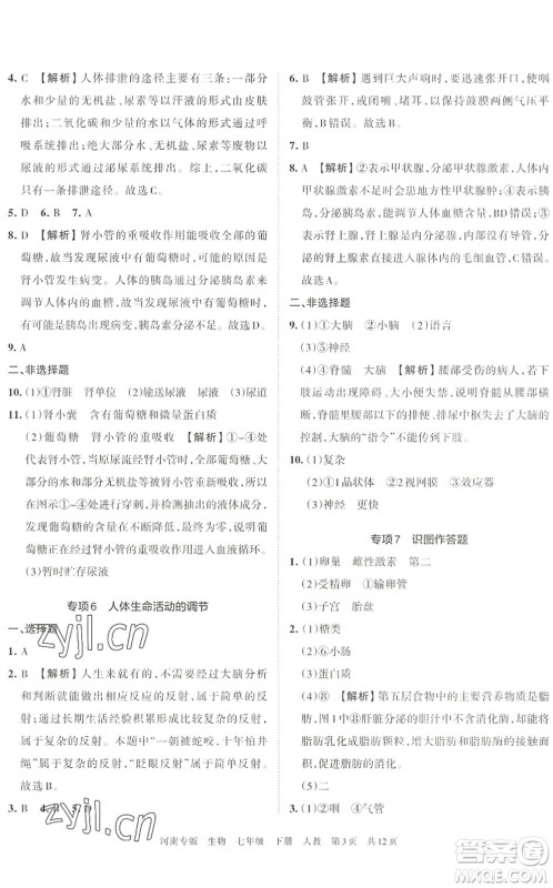 江西人民出版社2022王朝霞各地期末试卷精选七年级生物下册人教版河南专版答案 江西人民出版社2022王朝霞各地期末试卷精选七年级生物下册人教版河南专版答案