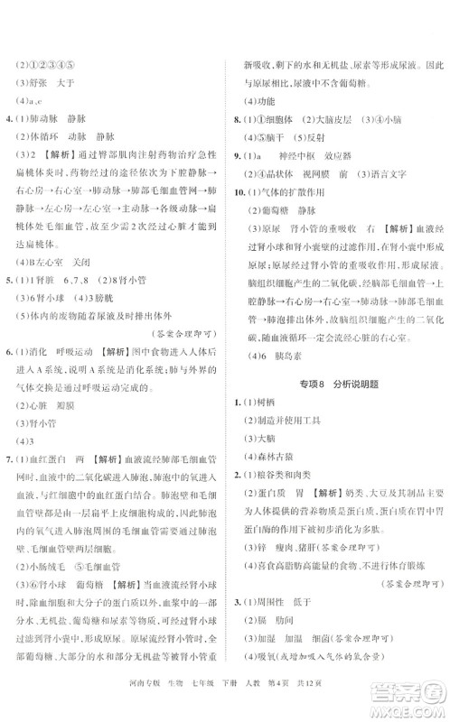 江西人民出版社2022王朝霞各地期末试卷精选七年级生物下册人教版河南专版答案 江西人民出版社2022王朝霞各地期末试卷精选七年级生物下册人教版河南专版答案