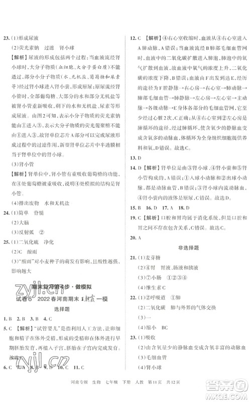 江西人民出版社2022王朝霞各地期末试卷精选七年级生物下册人教版河南专版答案 江西人民出版社2022王朝霞各地期末试卷精选七年级生物下册人教版河南专版答案