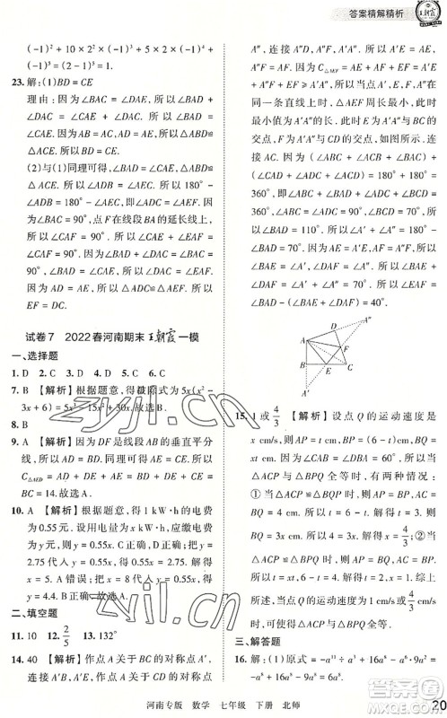 江西人民出版社2022王朝霞各地期末试卷精选七年级数学下册北师大版河南专版答案 江西人民出版社2022王朝霞各地期末试卷精选七年级数学下册北师大版河南专版答案