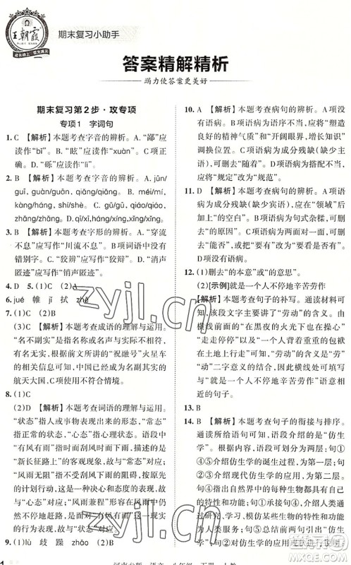 江西人民出版社2022王朝霞各地期末试卷精选八年级语文下册人教版河南专版答案 江西人民出版社2022王朝霞各地期末试卷精选八年级语文下册人教版河南专版答案