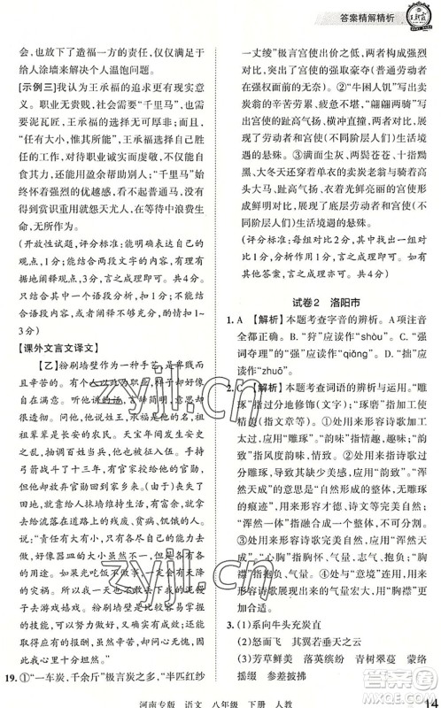 江西人民出版社2022王朝霞各地期末试卷精选八年级语文下册人教版河南专版答案 江西人民出版社2022王朝霞各地期末试卷精选八年级语文下册人教版河南专版答案