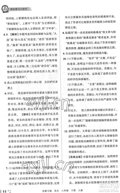 江西人民出版社2022王朝霞各地期末试卷精选八年级语文下册人教版安徽专版答案 江西人民出版社2022王朝霞各地期末试卷精选八年级语文下册人教版安徽专版答案