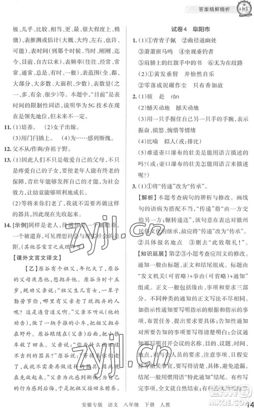 江西人民出版社2022王朝霞各地期末试卷精选八年级语文下册人教版安徽专版答案 江西人民出版社2022王朝霞各地期末试卷精选八年级语文下册人教版安徽专版答案