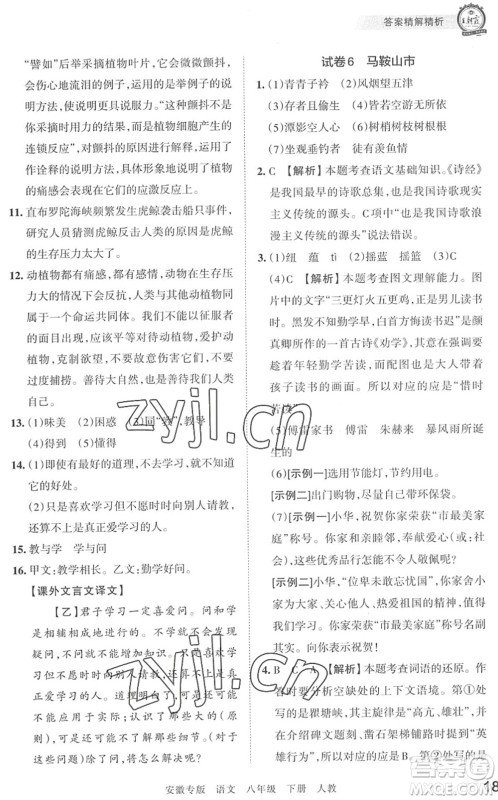 江西人民出版社2022王朝霞各地期末试卷精选八年级语文下册人教版安徽专版答案 江西人民出版社2022王朝霞各地期末试卷精选八年级语文下册人教版安徽专版答案