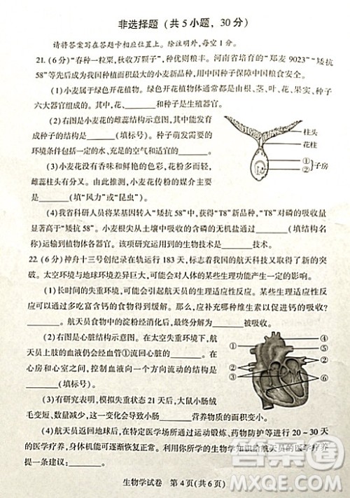 2022年河南省普通高中招生考试生物学试题及答案