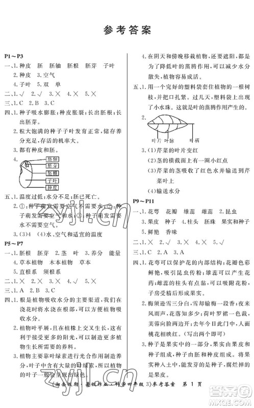 湖南大学出版社2022湘岳假期暑假作业四年级科学教科版答案 湖南大学出版社2022湘岳假期暑假作业四年级科学教科版答案