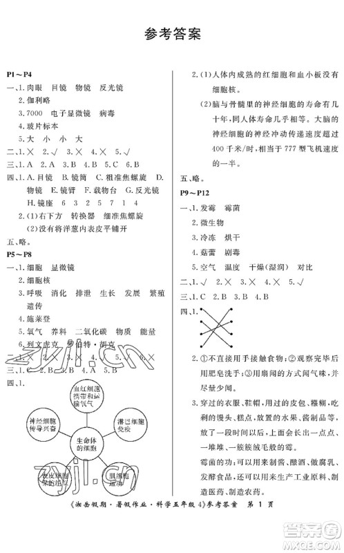 湖南大学出版社2022湘岳假期暑假作业五年级科学湘科版答案