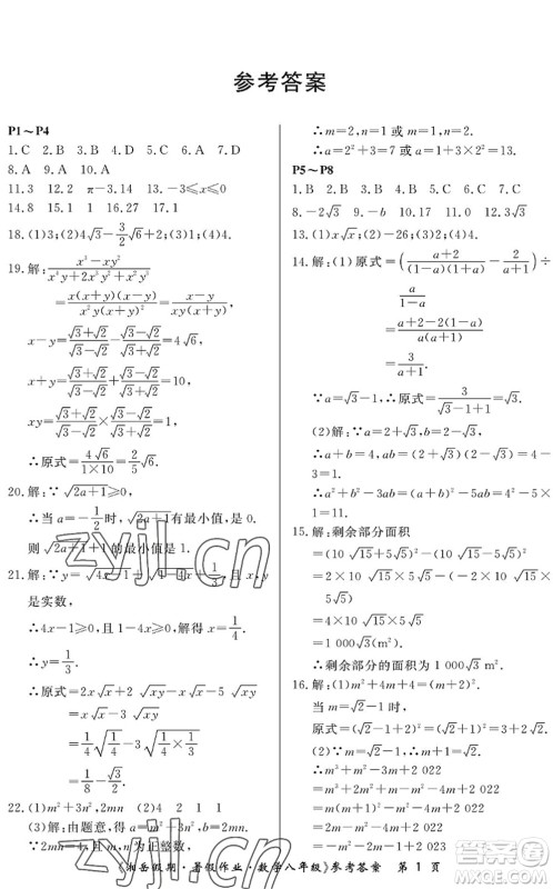 湖南大学出版社2022湘岳假期暑假作业八年级数学人教版答案