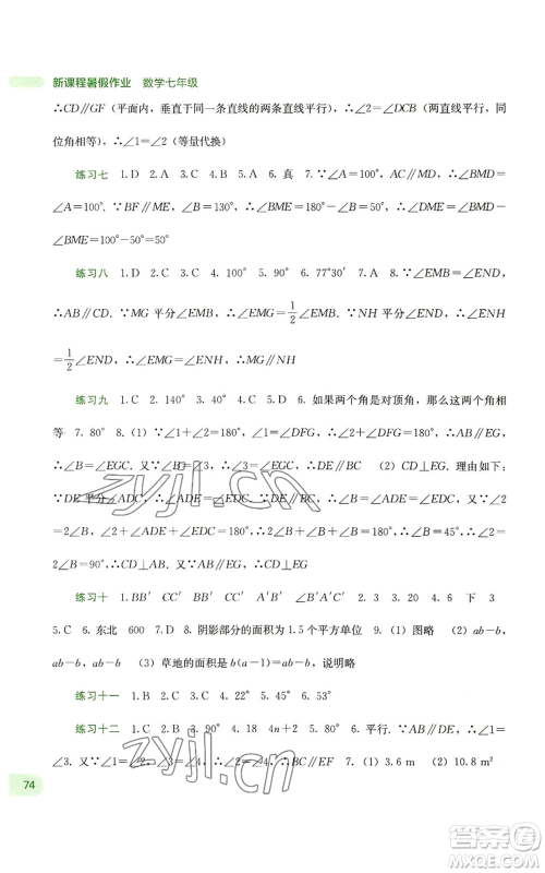 广西教育出版社2022新课程暑假作业七年级数学通用版参考答案