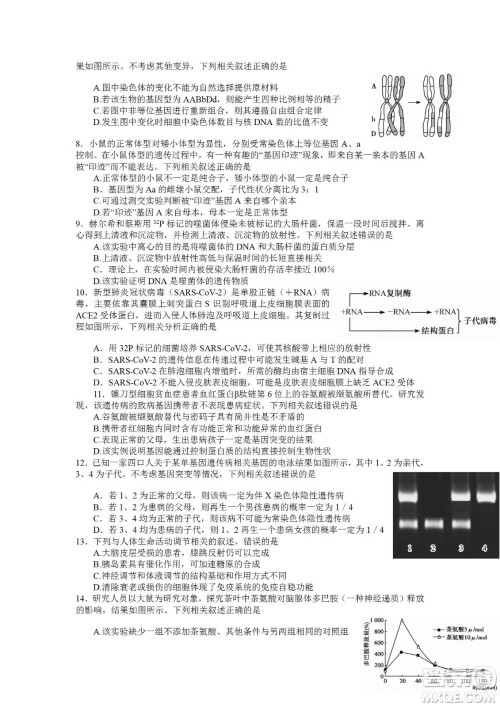 2023届湖北省九师联盟高三新高考摸底联考生物试题及答案