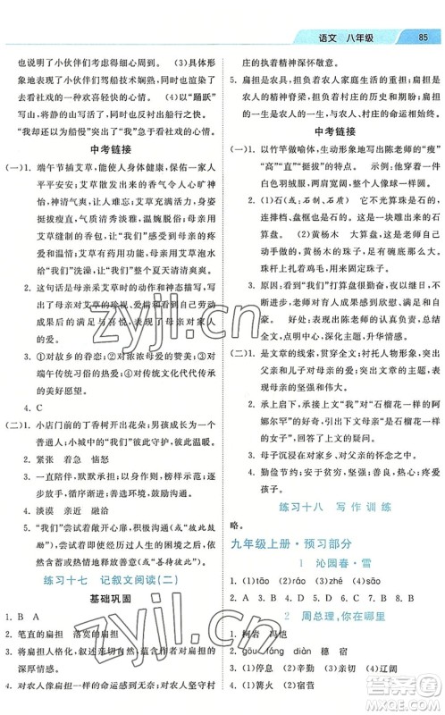 河北美术出版社2022暑假作业八年级语文人教版答案