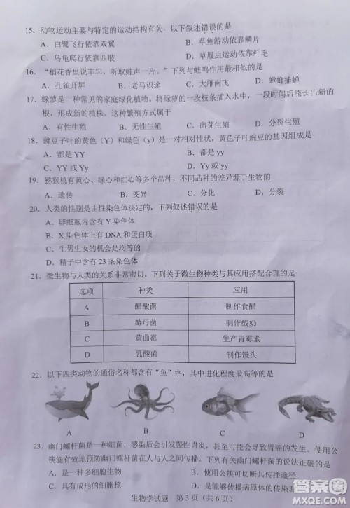 2022年广东省初中学业水平考试生物学试题及答案