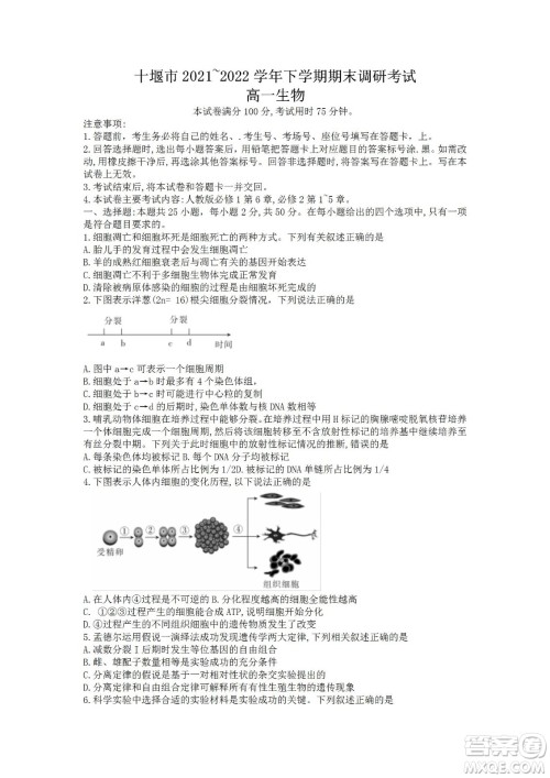 湖北省十堰市2021-2022学年下学期期末调研考试高一生物试题及答案