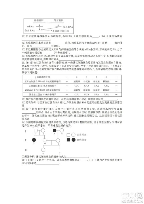 湖北省十堰市2021-2022学年下学期期末调研考试高一生物试题及答案