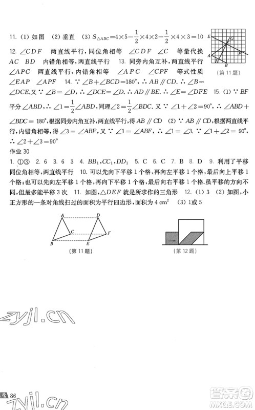 上海科学技术出版社2022暑假作业七年级数学沪科版答案