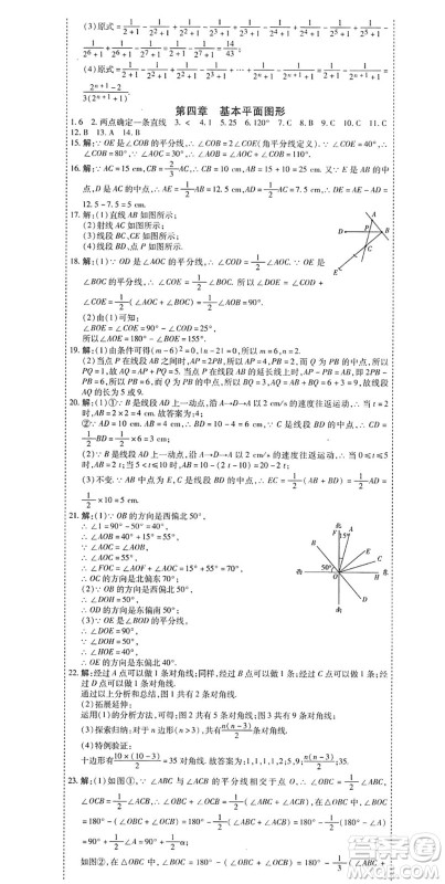 黑龙江美术出版社2022假期新思维期末+暑假+衔接七年级数学B北师版答案