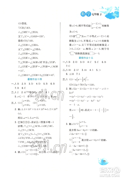 河北美术出版社2022暑假生活七年级数学冀教版参考答案