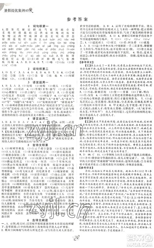 江苏人民出版社2022暑假提优集训40天八年级语文RJ人教版答案