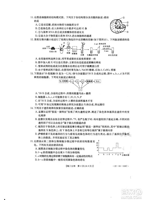 洛阳创新发展联盟2023届高三摸底考试生物试题及答案