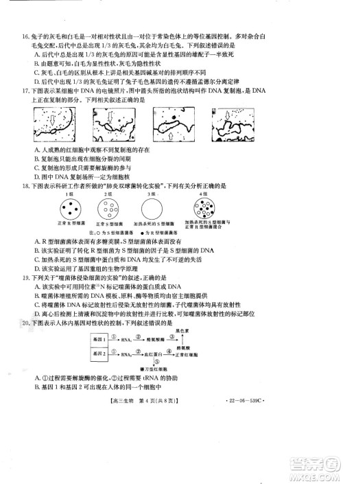 洛阳创新发展联盟2023届高三摸底考试生物试题及答案