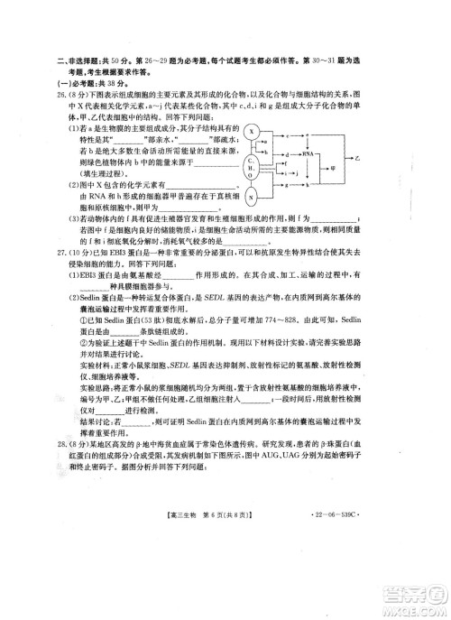 洛阳创新发展联盟2023届高三摸底考试生物试题及答案