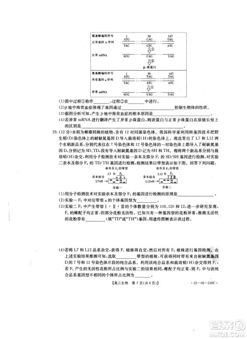 洛阳创新发展联盟2023届高三摸底考试生物试题及答案