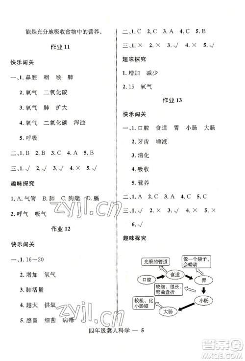 河北少年儿童出版社2022赢在起跑线小学生快乐暑假四年级科学冀人版参考答案 河北少年儿童出版社2022赢在起跑线小学生快乐暑假四年级科学冀人版参考答案